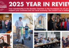 2025-year-in-review